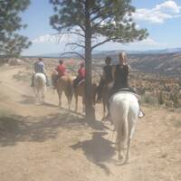 Paardrijden in de Bryce Canyon