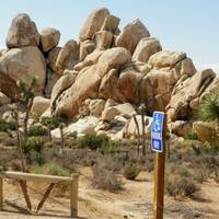 joshua tree park (82).JPG