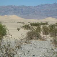 duinen in Death Valley