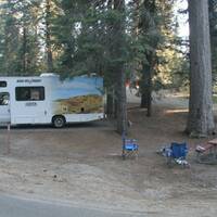Azalea campground
