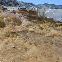 29 Mammoth Hot Springs, Yellowstone