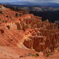 Bryce
