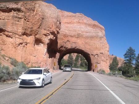 Zion 52103.jpg