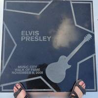 Elvis presley's tegel tussen vele bekende zangers en sterren