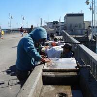 Vissen op de Memorial pier in LongBeach