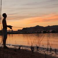 Vissen Lake Powell