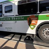 Shuttlebus 