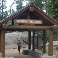 General Sherman Tree trail