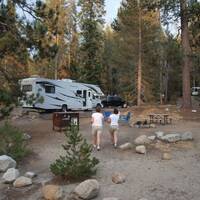 ons plekje op Lodgepole Sequoia