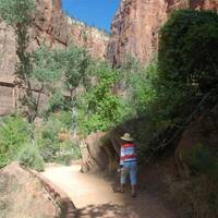 Totaal ander Canyon, in Zion