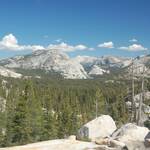 Groen en bergen in Yosemite