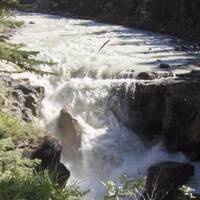 Jasper, Sunwupta Falls