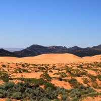 Sand dunes (zand duinen)