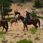 paardrijden in red canyon