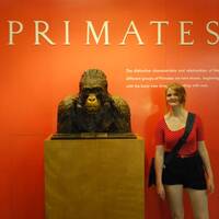 21 juli 2011 - Terug naar de roots in het American Museum of Natural History 