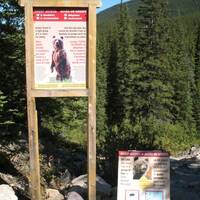 Bear warnings, Banff NP