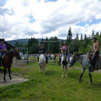 Horseback-riding bij Trophy Mountain