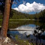 Lukens Lake Yosemite