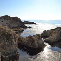 Point Lobos State Park 
