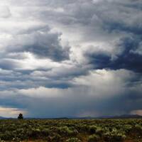Regenbui in Wyoming, nabij Grand Teton NP