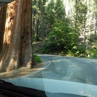 Onderweg naar Sequoia National Park 2
