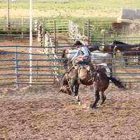 Horse back rodeo