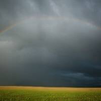 Idaho Rainbow