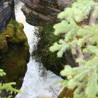 Kloof bij de Athabasca Falls in Jasper N.P.in Canada