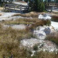 Pruttelende mud pots in Yellowstone Park