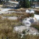Pruttelende mud pots in Yellowstone Park