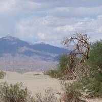 De zandduinen in Death Valley
