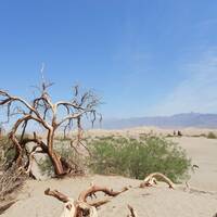 Zandduinen bij Stovepipe Wells  in Death Valley