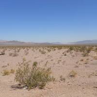 160 mijl door de Mojave Desert