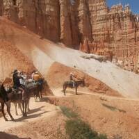 paardrijden in bryce canyon