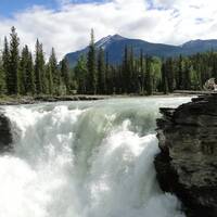 Dag 20: Icefield Parkway. Athabasca Falls.