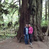 Cathedral Grove op Vancouver Island