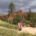 Navajo Trail Bryce Canyon