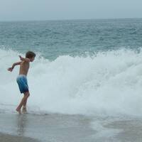 Rens in de golven van Laguna Beach