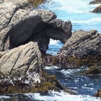 Point Lobos S.P.