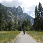 Meadow in Yosemite Valley