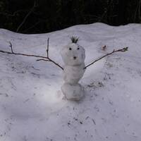 Sneeuwman gemaakt in Revelstoke NP :)