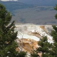 Mammoth Hot Spring Terraces in Yellowstone