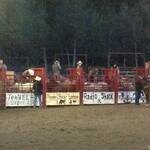 Stoere cowboys bij Yellowstone rodeo