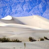 Dag 23 Death Valley Mesquite flat sand dunes