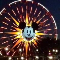 Mickey' s funwheel by night
