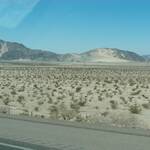 Mojave Desert