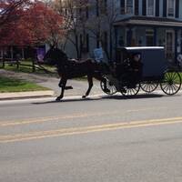Amish nabij Kancaster