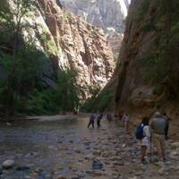 Zion National Park, the Narrows