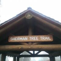 Sequoia & Kings National Park, Sherman Tree Trail