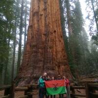De Hopsjlokkersvlag bij de General Sherman, de grootdte boom ter wereld.